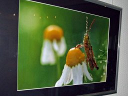 2016 Fotoausstellung Böhme